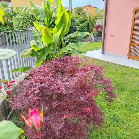 Doris' Home Pisogne Zewnętrze zdjęcie