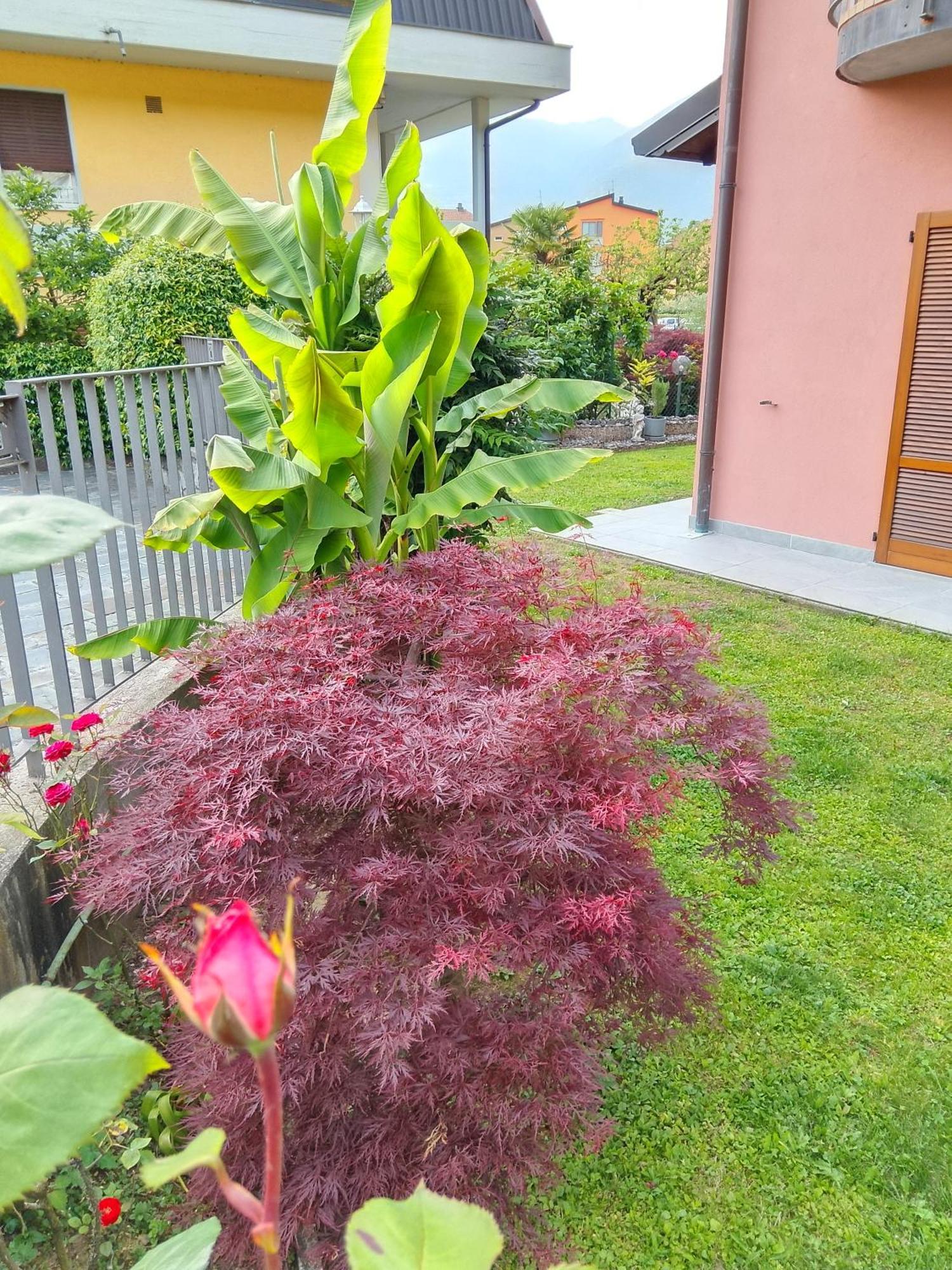 Doris' Home Pisogne Zewnętrze zdjęcie